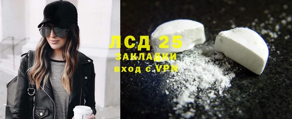 сатива Козельск