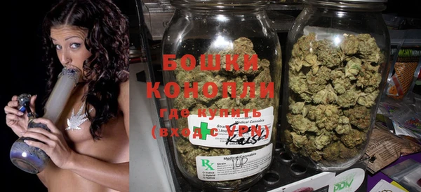 сатива Козельск