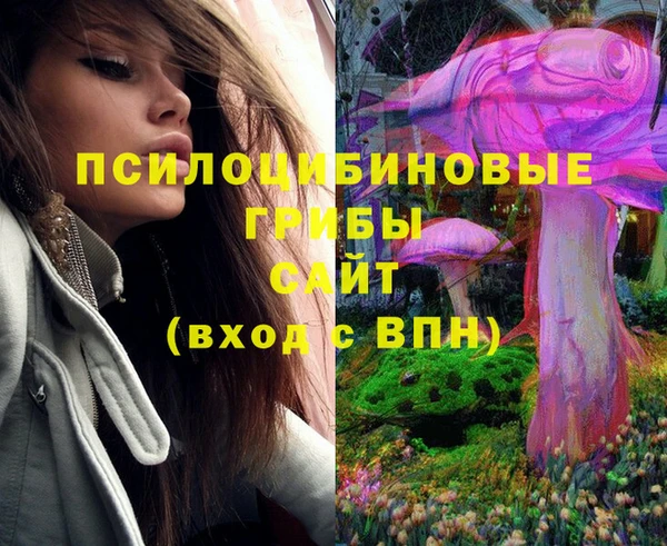 кокс Корсаков