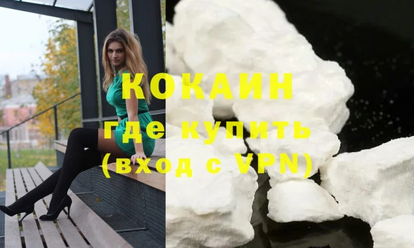 сатива Козельск